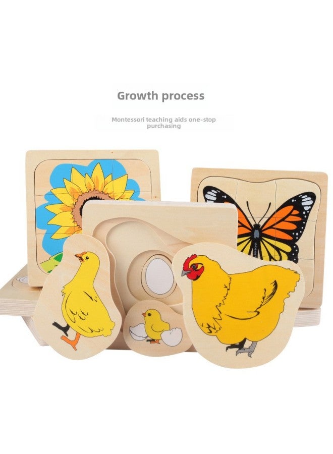 Early Education Animals And Plants Men Women's Growth Process Multilayer Jigsaw Puzzle Puzzle Wooden Toys-Color:Sunflower Growing Process - Image 2